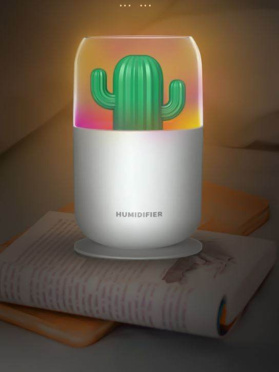 Cactus Humidifier