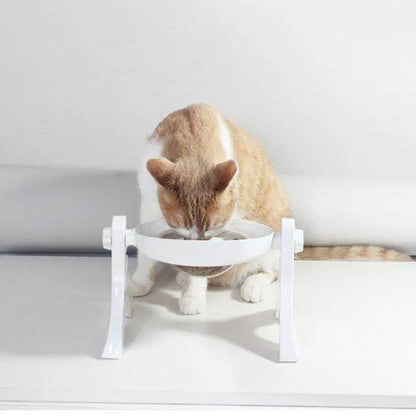 Multipurpose Pets Bowl - DMC Wholesale