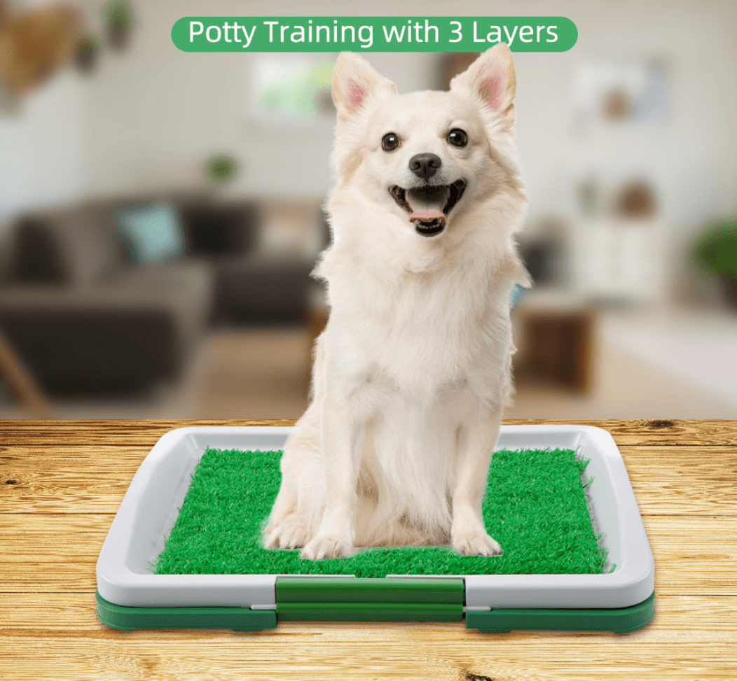Puppy Potty Training Pad - DMC Wholesale