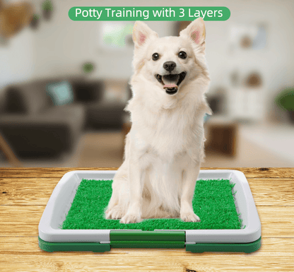 Puppy Potty Training Pad - DMC Wholesale