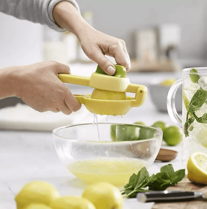Dual Action Citrus Press - DMC Wholesale