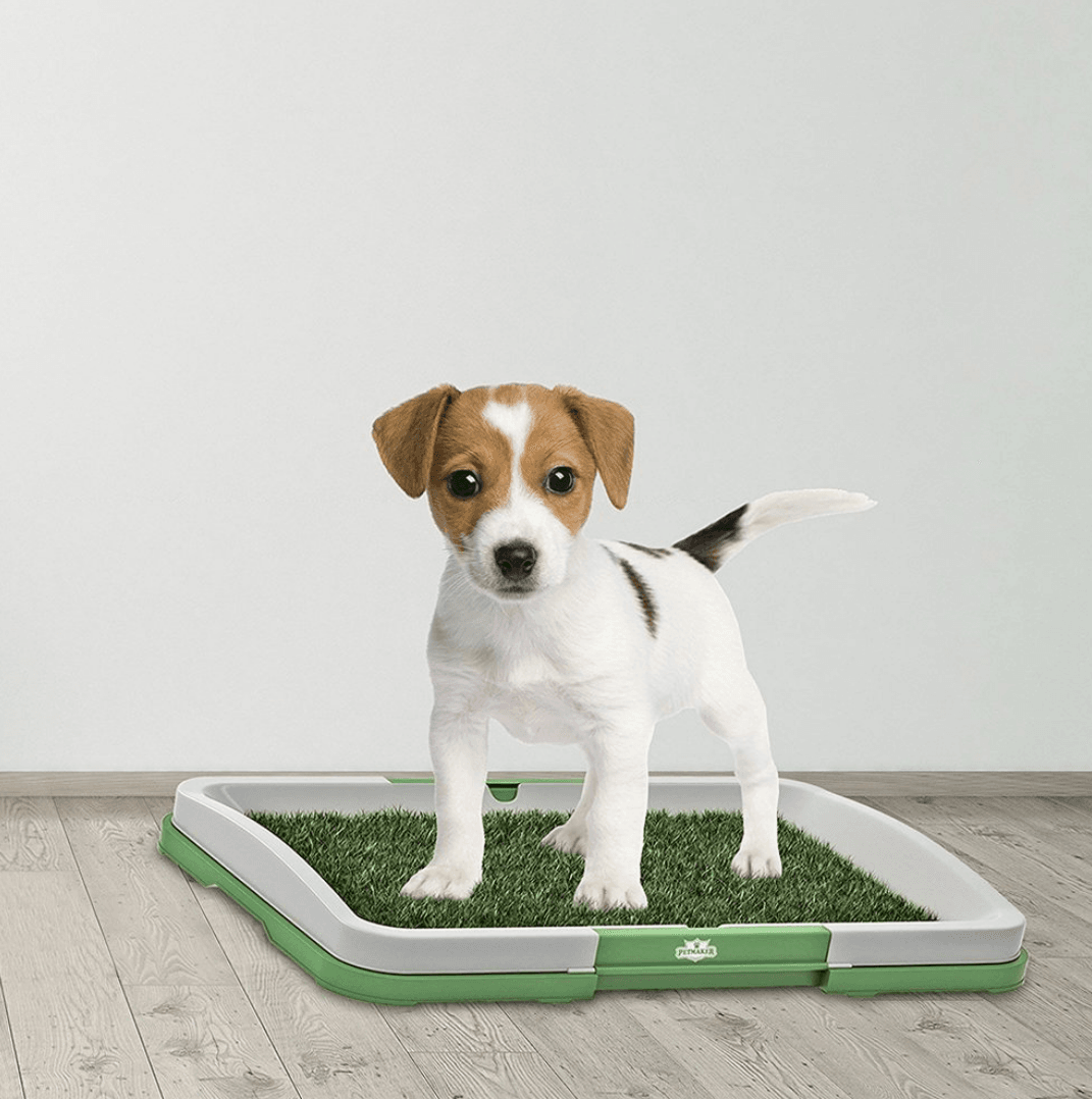 Puppy Potty Training Pad - DMC Wholesale