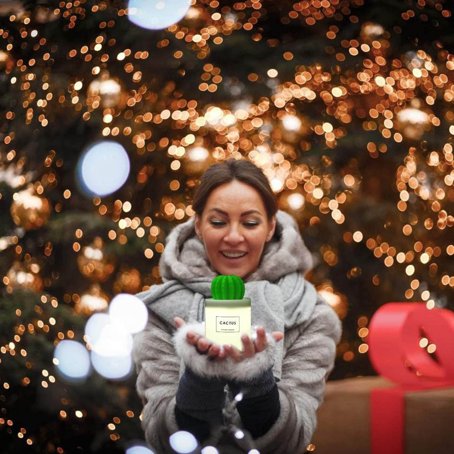 USB Cactus Humidifier (280ml) - DMC Wholesale