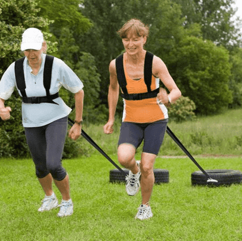 Fitness Sled Harness - Alt View